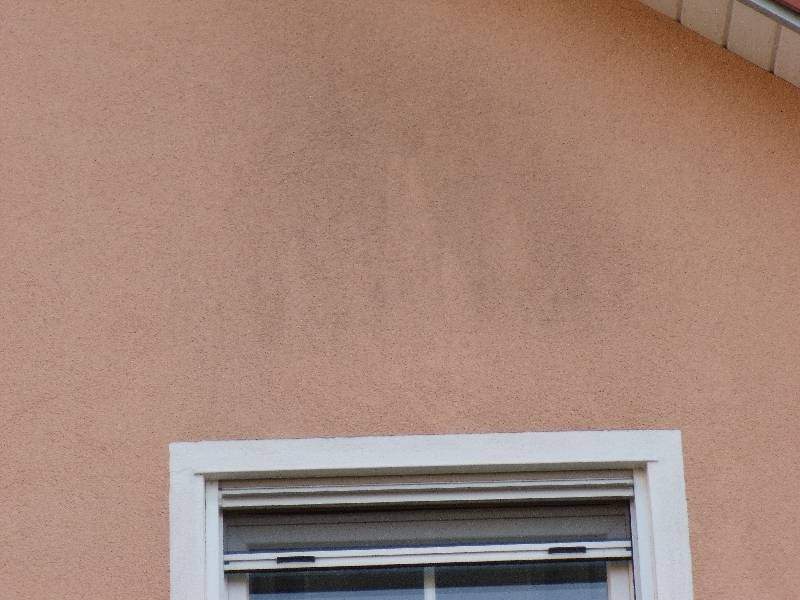 BAU.DE / BAU-Forum: 1. Bild zu Frage "Schimmel an Fassade erkennen: Ursachen, Risiken & Sanierungskosten?" im BAU-Forum "Modernisierung / Sanierung / Bausch&auml;den"
