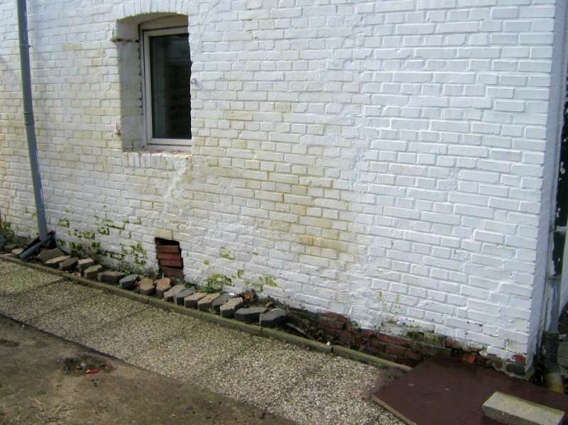 BAU.DE / BAU-Forum: 1. Bild zu Frage "Nasse Stallwand: Ursachen gelber Flecken? Analyse von Klinkerwand ohne Fundament" im BAU-Forum "Modernisierung / Sanierung / Bausch&auml;den"