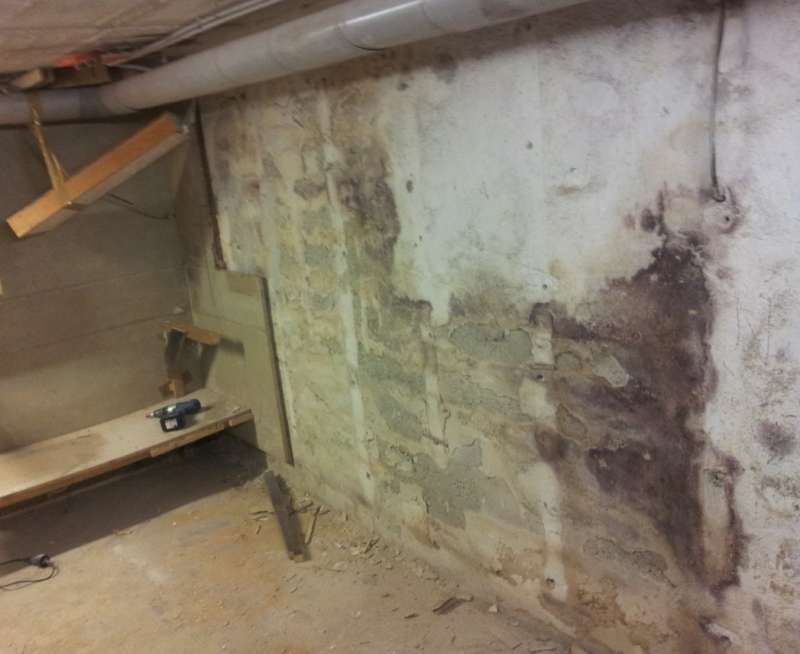 BAU.DE / BAU-Forum: 1. Bild zu Frage "Schimmel im Keller sanieren: Ursachen erkennen, richtig entfernen & Kosten senken" im BAU-Forum "Modernisierung / Sanierung / Bausch&auml;den"