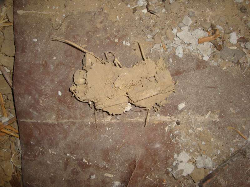 BAU.DE / BAU-Forum: 3. Bild zu Frage "Materialbestimmung: Was ist das f&uuml;r ein Baustoff? Analyse & Eigenschaften" im BAU-Forum "Modernisierung / Sanierung / Bausch&auml;den"