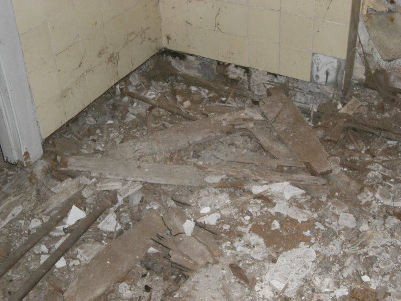 BAU.DE / BAU-Forum: 1. Bild zu Frage "Hausschwamm im Altbau erkennen? Ursachen, Risiken & Sanierungskosten im &Uuml;berblick" im BAU-Forum "Modernisierung / Sanierung / Bausch&auml;den"