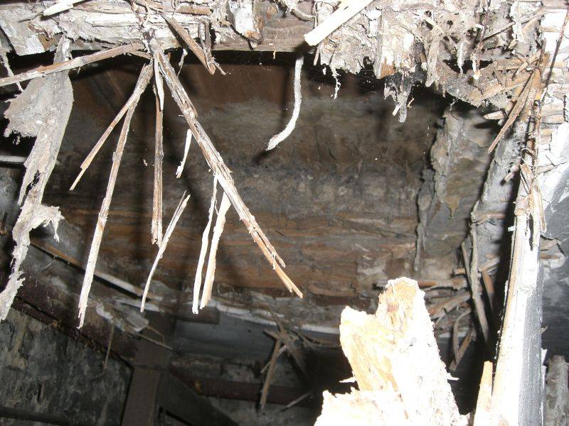 BAU.DE / BAU-Forum: 3. Bild zu Frage "Hausschwamm im Altbau erkennen? Ursachen, Risiken & Sanierungskosten im &Uuml;berblick" im BAU-Forum "Modernisierung / Sanierung / Bausch&auml;den"