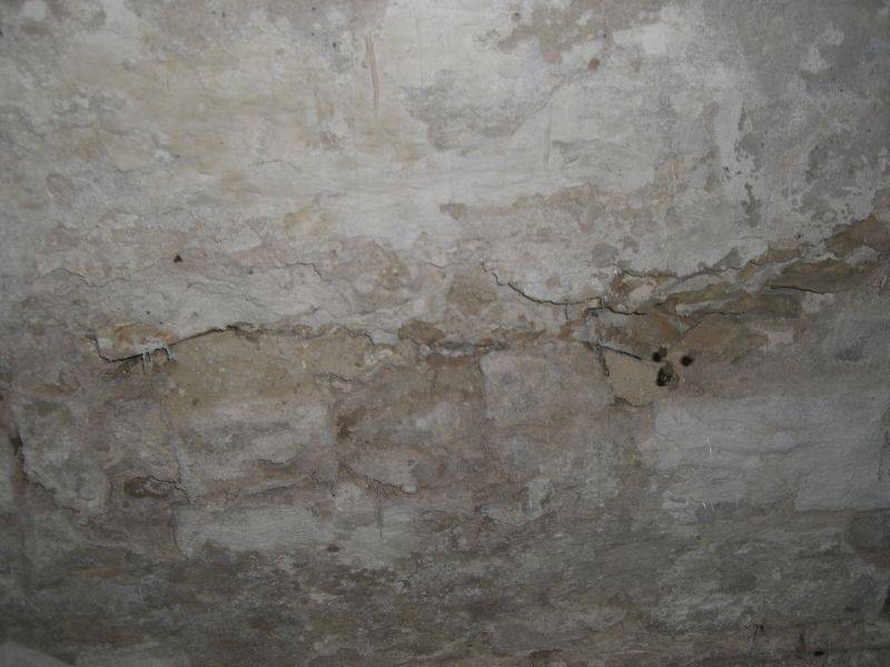 BAU.DE / BAU-Forum: 5. Bild zu Frage "Hausschwamm im Altbau erkennen? Ursachen, Risiken & Sanierungskosten im &Uuml;berblick" im BAU-Forum "Modernisierung / Sanierung / Bausch&auml;den"