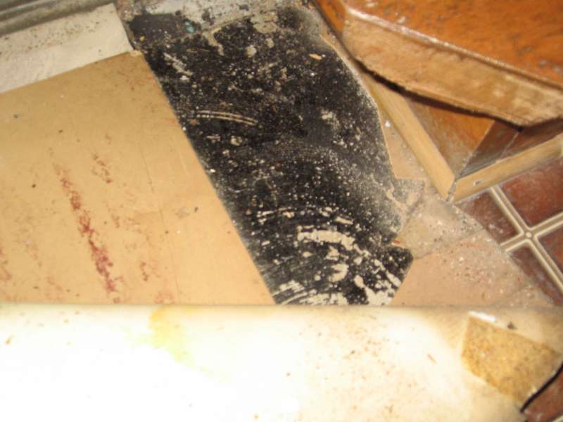 BAU.DE / BAU-Forum: 2. Bild zu Frage "Asbest und PAK in Fu&szlig;bodenbel&auml;gen" im BAU-Forum "Modernisierung / Sanierung / Bausch&auml;den"