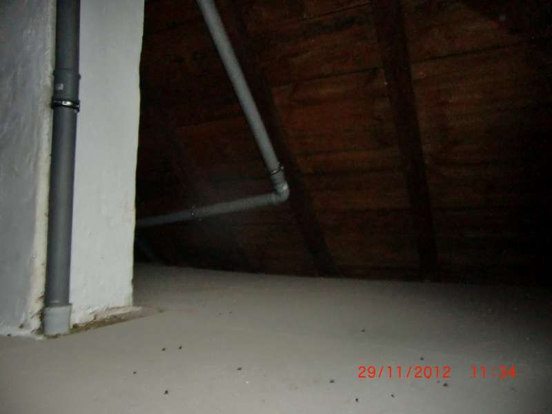 BAU.DE / BAU-Forum: 3. Bild zu Antwort "guten Tag Herr filusch, Holzbalkendecke, vermutlich..." auf die Frage "Schalld&auml;mmung im Altbau (1926): L&auml;rmschutz verbessern &ndash; Ma&szlig;nahmen, Kosten & Vergleich" im BAU-Forum "Modernisierung / Sanierung / Bausch&auml;den"