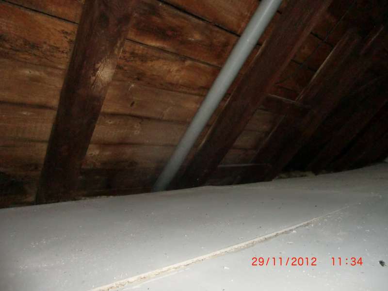 BAU.DE / BAU-Forum: 4. Bild zu Antwort "guten Tag Herr filusch, Holzbalkendecke, vermutlich..." auf die Frage "Schalld&auml;mmung im Altbau (1926): L&auml;rmschutz verbessern &ndash; Ma&szlig;nahmen, Kosten & Vergleich" im BAU-Forum "Modernisierung / Sanierung / Bausch&auml;den"