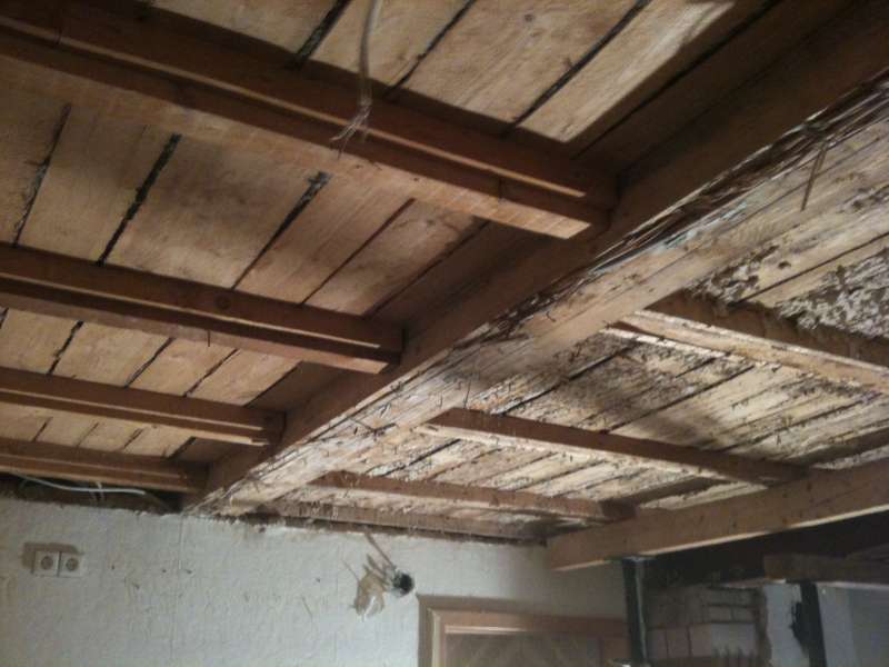 BAU.DE / BAU-Forum: 2. Bild zu Frage "Holz-Beton-Verbunddecke h&auml;ngt Start durch" im BAU-Forum "Modernisierung / Sanierung / Bausch&auml;den"