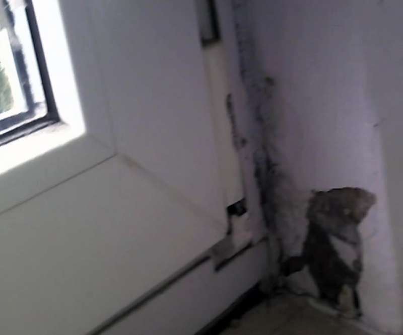 BAU.DE / BAU-Forum: 1. Bild zu Frage "Muss leider nachfragen... Ecke Fensterbank &nbsp;-&nbsp; Woher kommt das?" im BAU-Forum "Modernisierung / Sanierung / Bausch&auml;den"