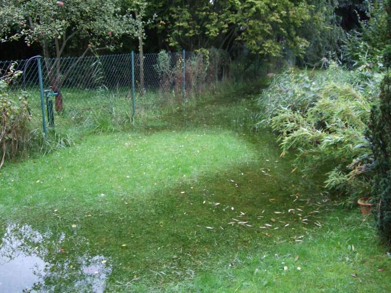 BAU.DE / BAU-Forum: 1. Bild zu Antwort "Danke f&uuml;r Ihre bisherigen Antworten" auf die Frage "Mikrowellenmessung Au&szlig;enwand: Genauigkeit, Vergleich mit Gerichtsgutachter & Risiken?" im BAU-Forum "Modernisierung / Sanierung / Bausch&auml;den"