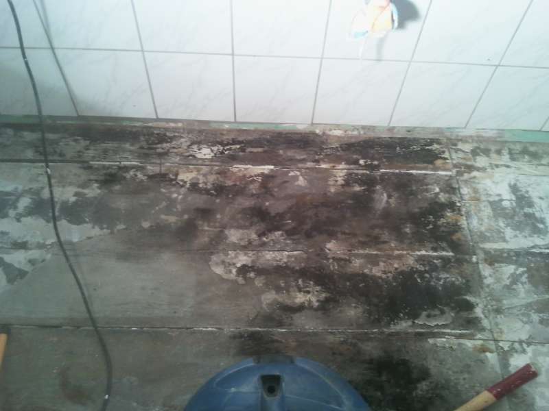 BAU.DE / BAU-Forum: 1. Bild zu Frage "Wasserschaden im Bad / Holzdielen / Schimmel" im BAU-Forum "Modernisierung / Sanierung / Bausch&auml;den"