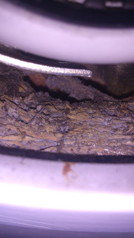 BAU.DE / BAU-Forum: 1. Bild zu Frage "Asbest in Decke?" im BAU-Forum "Modernisierung / Sanierung / Bausch&auml;den"