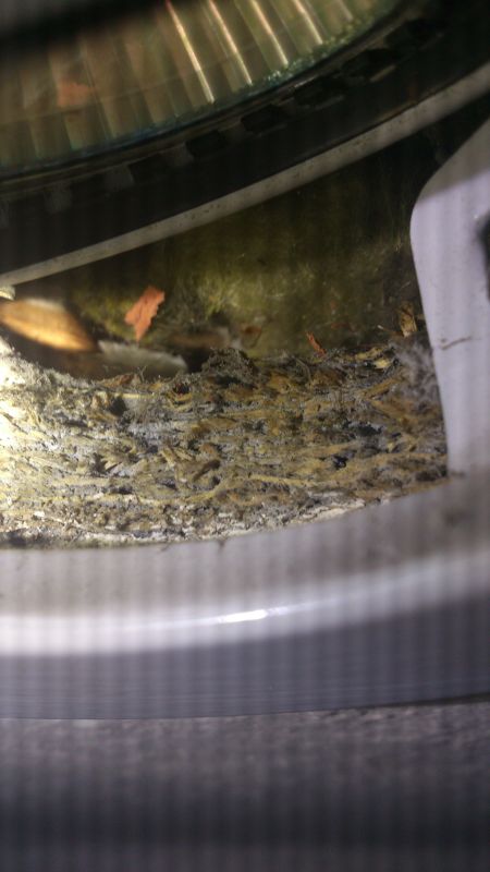 BAU.DE / BAU-Forum: 2. Bild zu Frage "Asbest in Decke?" im BAU-Forum "Modernisierung / Sanierung / Bausch&auml;den"