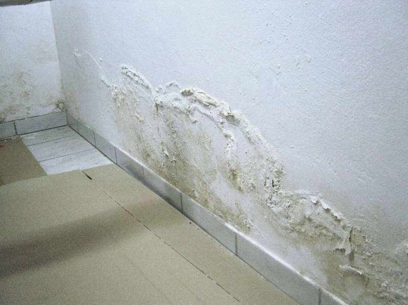 BAU.DE / BAU-Forum: 1. Bild zu Frage "Arglistige T&auml;uschung &nbsp;-&nbsp; kann Putzprobe Klarheit schaffen?" im BAU-Forum "Modernisierung / Sanierung / Bausch&auml;den"