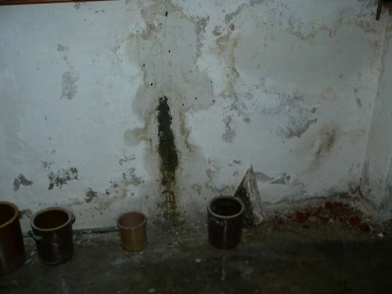 BAU.DE / BAU-Forum: 1. Bild zu Frage "Kellerabdichtung: Ursachen, Kosten & Methoden zur Trockenlegung? Hilfe bei Feuchtigkeitssch&auml;den!" im BAU-Forum "Modernisierung / Sanierung / Bausch&auml;den"