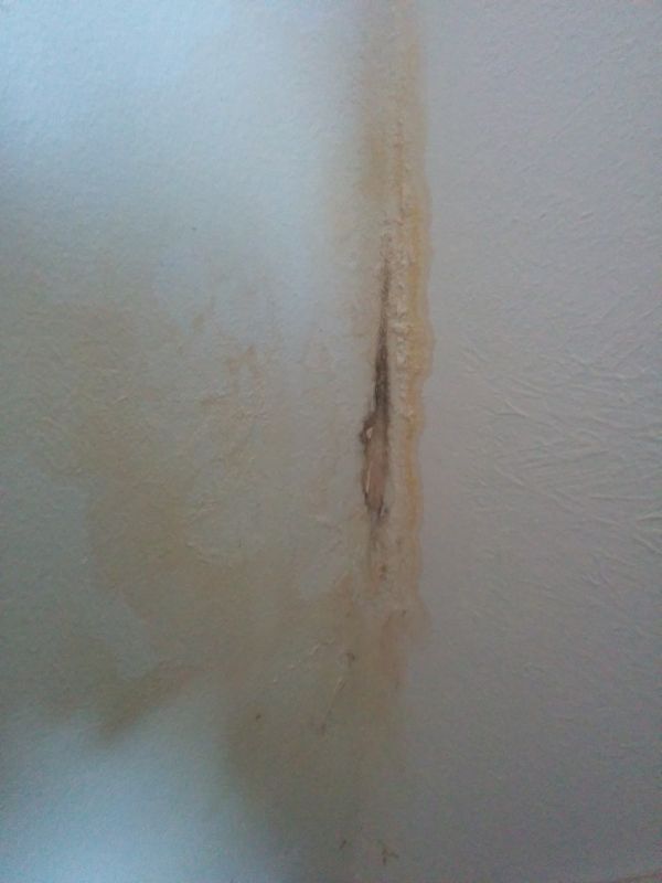 BAU.DE / BAU-Forum: 1. Bild zu Frage "Ursache f&uuml;r Wasser Fleck mit Schimmelbildung." im BAU-Forum "Modernisierung / Sanierung / Bausch&auml;den"