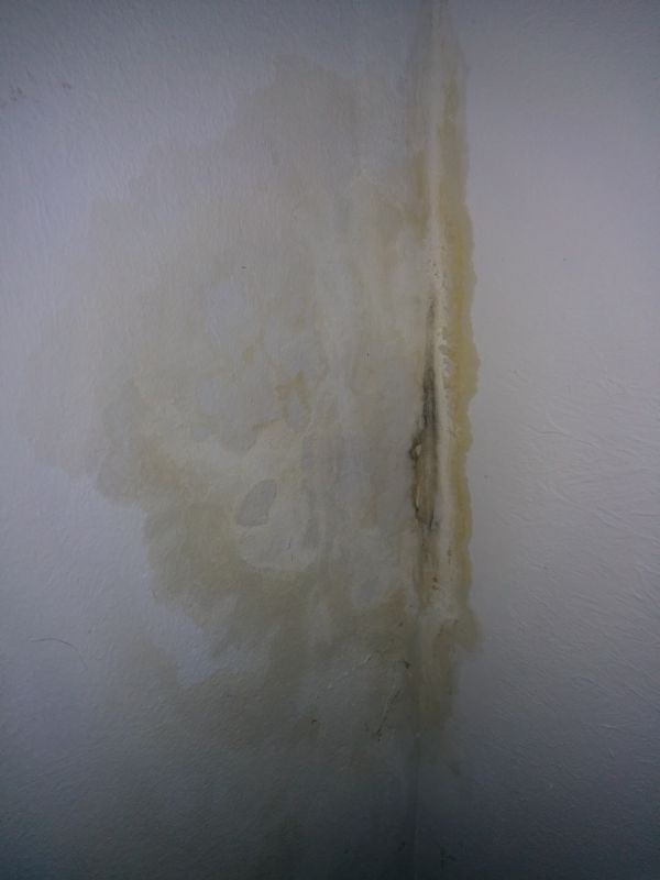 BAU.DE / BAU-Forum: 2. Bild zu Frage "Ursache f&uuml;r Wasser Fleck mit Schimmelbildung." im BAU-Forum "Modernisierung / Sanierung / Bausch&auml;den"