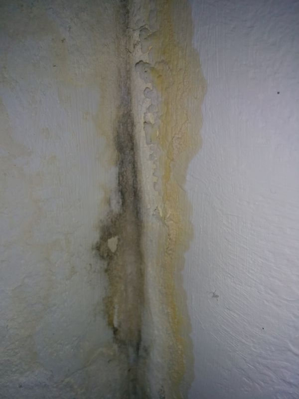 BAU.DE / BAU-Forum: 4. Bild zu Frage "Ursache f&uuml;r Wasser Fleck mit Schimmelbildung." im BAU-Forum "Modernisierung / Sanierung / Bausch&auml;den"