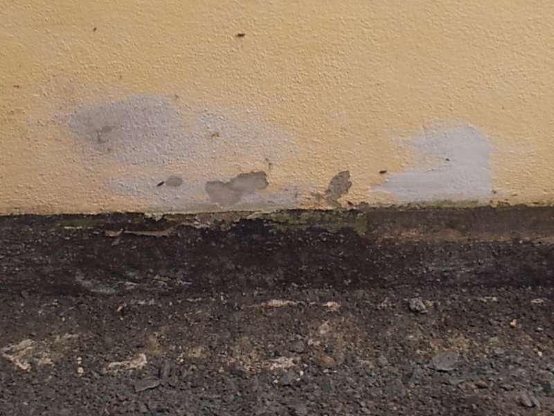 BAU.DE / BAU-Forum: 2. Bild zu Frage "Feuchtigkeitsschaden Sockel, wie vern&uuml;nftig ausbessern?" im BAU-Forum "Modernisierung / Sanierung / Bausch&auml;den"