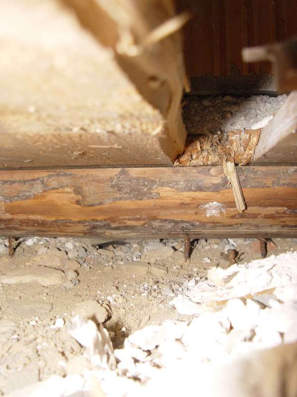 BAU.DE / BAU-Forum: 2. Bild zu Frage "Bausachschaden Winde hinter den Wänden" im BAU-Forum "Modernisierung / Sanierung / Bauschäden" BAU.DE / BAU-Forum: 2. Bild zu Frage "Bausachschaden Winde hinter den Wänden" im BAU-Forum "Modernisierung / Sanierung / Bauschäden"