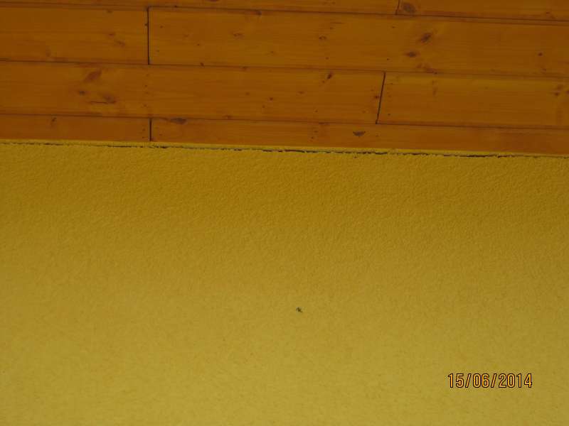 BAU.DE / BAU-Forum: 1. Bild zu Frage "Risse am Neubau zwischen Silikat-Kratzputz und Traufkasten" im BAU-Forum "Modernisierung / Sanierung / Bauschäden" BAU.DE / BAU-Forum: 1. Bild zu Frage "Risse am Neubau zwischen Silikat-Kratzputz und Traufkasten" im BAU-Forum "Modernisierung / Sanierung / Bauschäden"