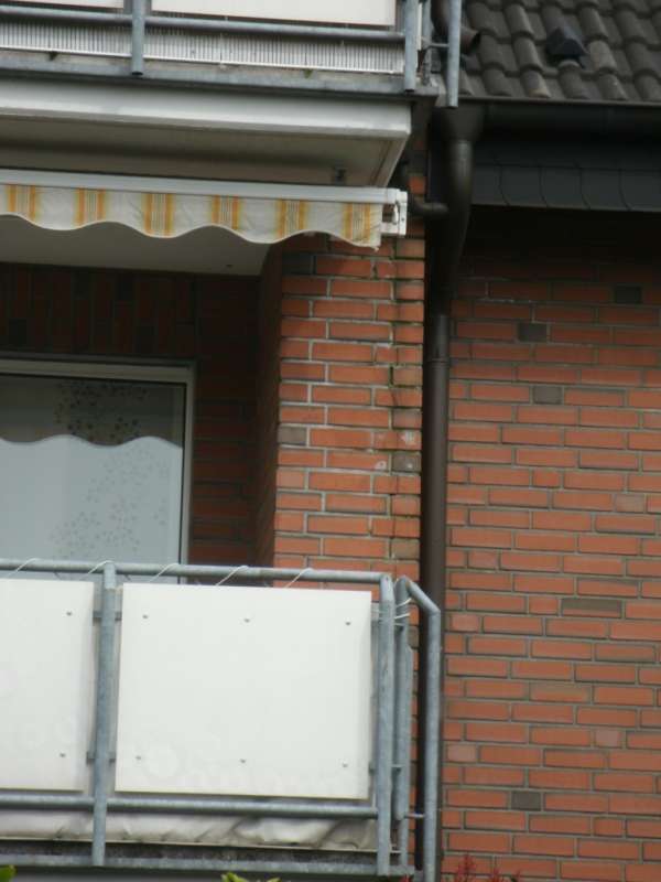 BAU.DE / BAU-Forum: 3. Bild zu Antwort "Dachdichtigkeit?" auf die Frage "Klinkerfassade Risse (Bj. 93): Ursachen, Sanierung & Kosten für die Reparatur?" im BAU-Forum "Modernisierung / Sanierung / Bauschäden" BAU.DE / BAU-Forum: 3. Bild zu Antwort "Dachdichtigkeit?" auf die Frage "Klinkerfassade Risse (Bj. 93): Ursachen, Sanierung & Kosten für die Reparatur?" im BAU-Forum "Modernisierung / Sanierung / Bauschäden"