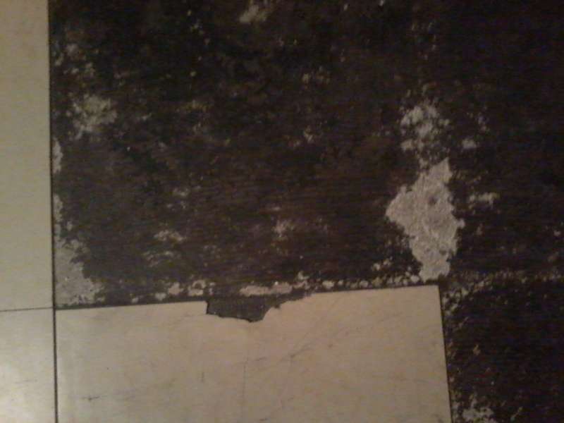 BAU.DE / BAU-Forum: 1. Bild zu Frage "Asbestproblem" im BAU-Forum "Modernisierung / Sanierung / Bauschäden" BAU.DE / BAU-Forum: 1. Bild zu Frage "Asbestproblem" im BAU-Forum "Modernisierung / Sanierung / Bauschäden"