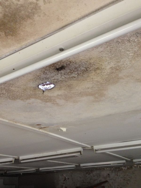 BAU.DE / BAU-Forum: 1. Bild zu Frage "Asbest?" im BAU-Forum "Modernisierung / Sanierung / Bauschäden" BAU.DE / BAU-Forum: 1. Bild zu Frage "Asbest?" im BAU-Forum "Modernisierung / Sanierung / Bauschäden"