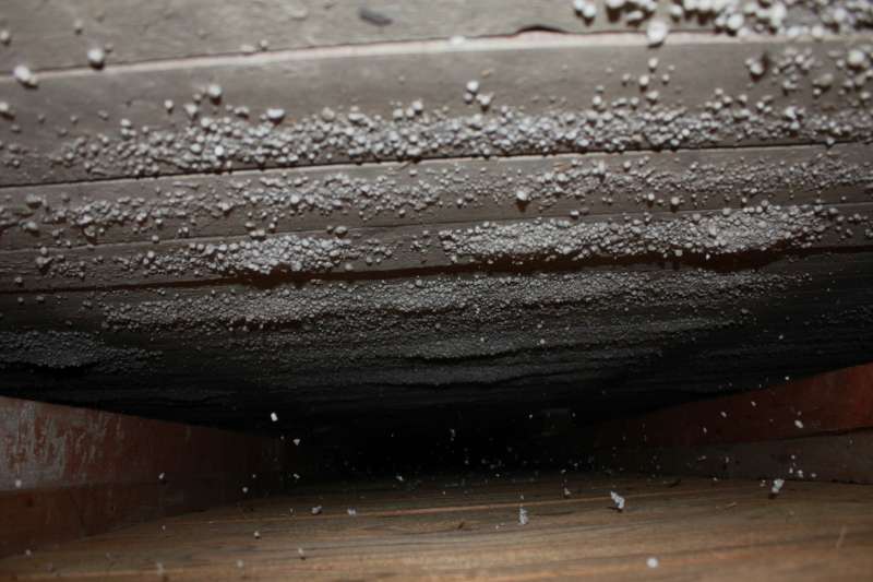 BAU.DE / BAU-Forum: 1. Bild zu Frage "Doppelte Holzbalkendecke entfernen" im BAU-Forum "Modernisierung / Sanierung / Bausch&auml;den"