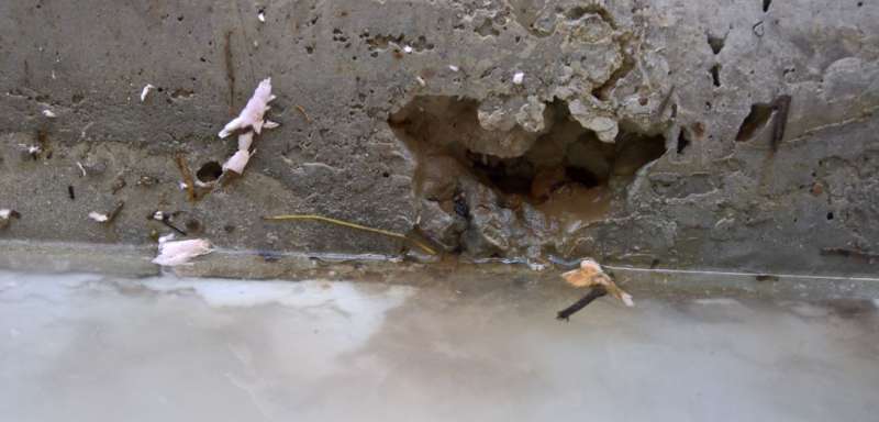 BAU.DE / BAU-Forum: 1. Bild zu Antwort "Bilder #5" auf die Frage "Bauschäden nach 2 Wochen: Ursachen, Risiken & Sofortmaßnahmen?" im BAU-Forum "Modernisierung / Sanierung / Bauschäden" BAU.DE / BAU-Forum: 1. Bild zu Antwort "Bilder #5" auf die Frage "Bauschäden nach 2 Wochen: Ursachen, Risiken & Sofortmaßnahmen?" im BAU-Forum "Modernisierung / Sanierung / Bauschäden"