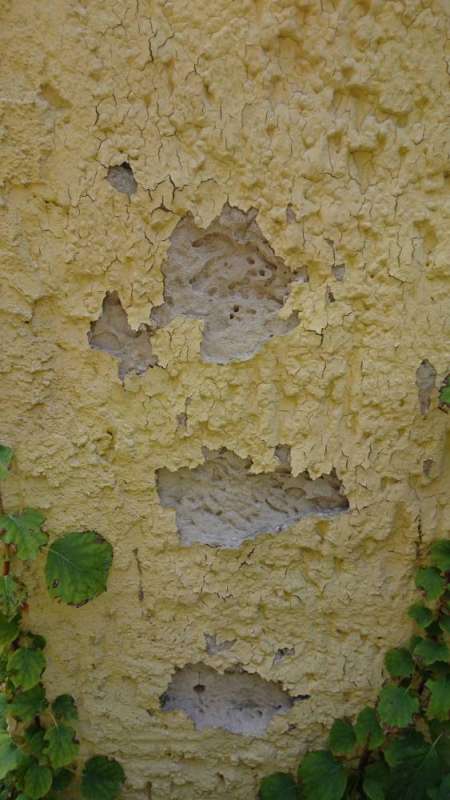 BAU.DE / BAU-Forum: 2. Bild zu Frage "Schadbild am Au&szlig;enputz / Kennt jemand das Schadensbild?" im BAU-Forum "Modernisierung / Sanierung / Bausch&auml;den"