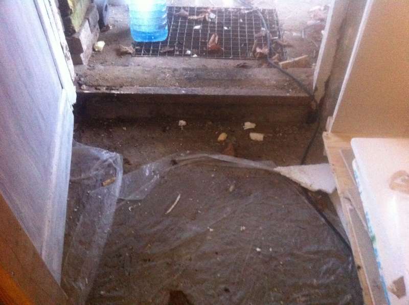 BAU.DE / BAU-Forum: 4. Bild zu Frage "Beurteilung auftretender Feuchtigkeit bei alten Estrichfundament einer massiven Ziegellaube" im BAU-Forum "Modernisierung / Sanierung / Bausch&auml;den"