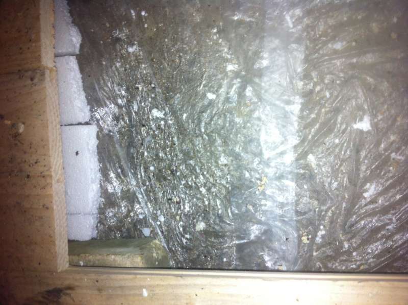 BAU.DE / BAU-Forum: 5. Bild zu Frage "Beurteilung auftretender Feuchtigkeit bei alten Estrichfundament einer massiven Ziegellaube" im BAU-Forum "Modernisierung / Sanierung / Bausch&auml;den"