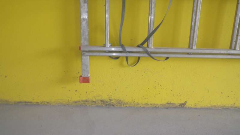 BAU.DE / BAU-Forum: 4. Bild zu Frage "Betonestrich an Putz gespritzt &nbsp;-&nbsp; abreinigungsf&auml;hig ohne Putzschaden?" im BAU-Forum "Modernisierung / Sanierung / Bausch&auml;den"