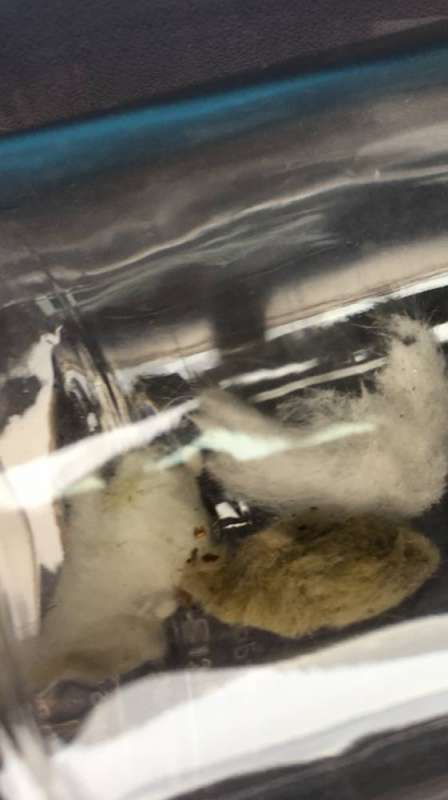 BAU.DE / BAU-Forum: 1. Bild zu Frage "Hallo, wir wollten dieses Wochenende eine alte..." im BAU-Forum "Modernisierung / Sanierung / Bausch&auml;den"