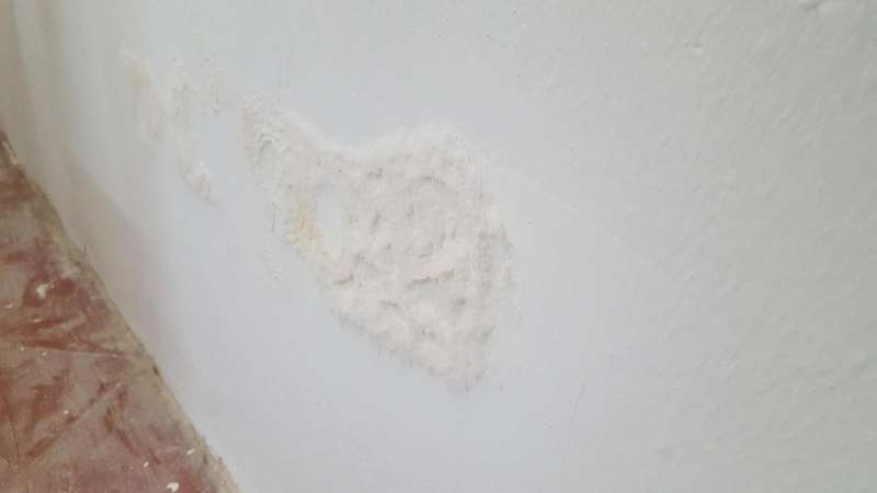 BAU.DE / BAU-Forum: 1. Bild zu Antwort "RE:" auf die Frage "Salpeter an Kellerwand: Ursachen, Sanierung & Schutzma&szlig;nahmen gegen Feuchtigkeit?" im BAU-Forum "Modernisierung / Sanierung / Bausch&auml;den"