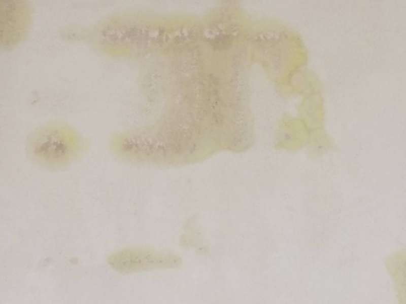 BAU.DE / BAU-Forum: 1. Bild zu Antwort "Neue Vermutung wo die Feuchtigkeit her kommt" auf die Frage "Feuchtigkeit im Neubau: Ursachen, Folgen & Sanierung von Sockelbereich?" im BAU-Forum "Modernisierung / Sanierung / Bausch&auml;den"