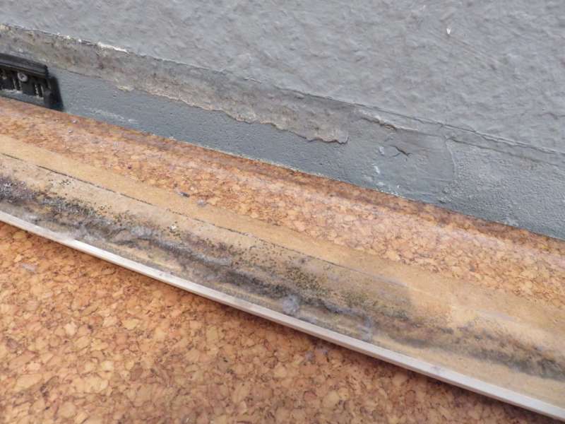 BAU.DE / BAU-Forum: 1. Bild zu Frage "Schimmelbildung an Wand hinter Dusche" im BAU-Forum "Modernisierung / Sanierung / Bausch&auml;den"