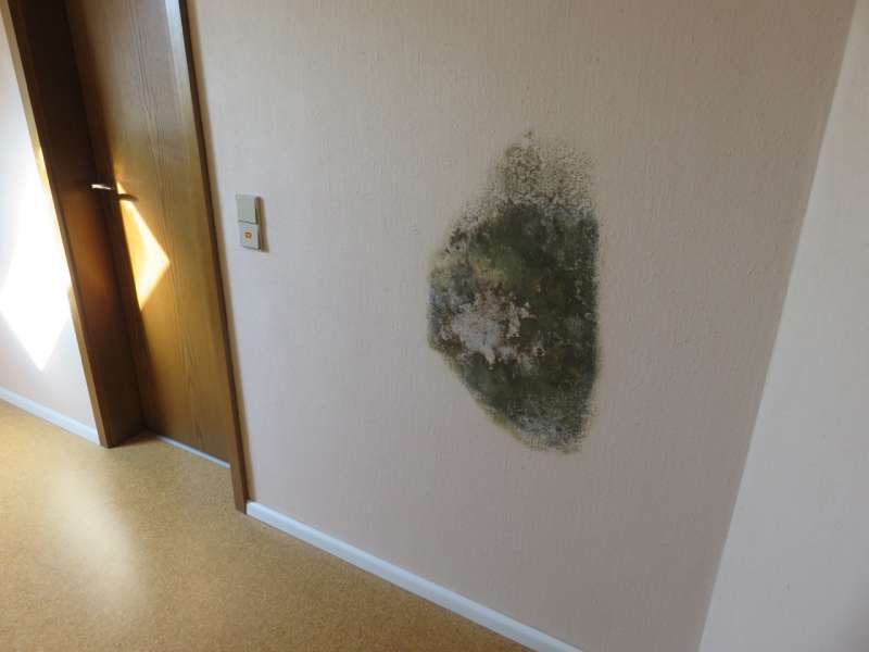 BAU.DE / BAU-Forum: 2. Bild zu Frage "Schimmelbildung an Wand hinter Dusche" im BAU-Forum "Modernisierung / Sanierung / Bausch&auml;den"