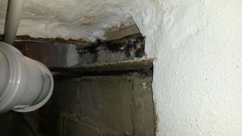 BAU.DE / BAU-Forum: 2. Bild zu Frage "Kellerfenster mit marodem Fenstersturz zumauern" im BAU-Forum "Modernisierung / Sanierung / Bausch&auml;den"