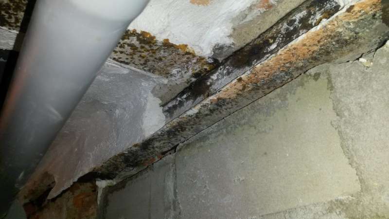 BAU.DE / BAU-Forum: 3. Bild zu Frage "Kellerfenster mit marodem Fenstersturz zumauern" im BAU-Forum "Modernisierung / Sanierung / Bausch&auml;den"