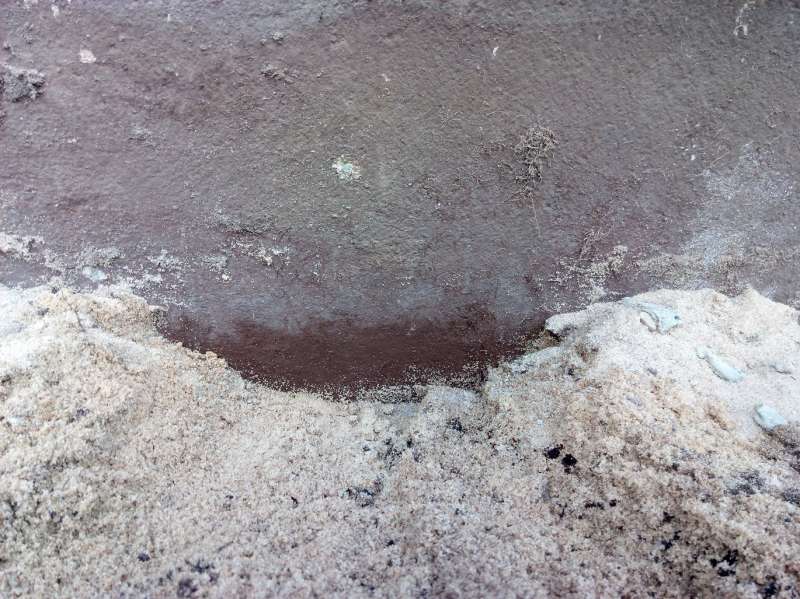 BAU.DE / BAU-Forum: 1. Bild zu Frage "Frage zum streichen des Geb&auml;udesockel und erdber&uuml;hrten Bereich" im BAU-Forum "Modernisierung / Sanierung / Bausch&auml;den"