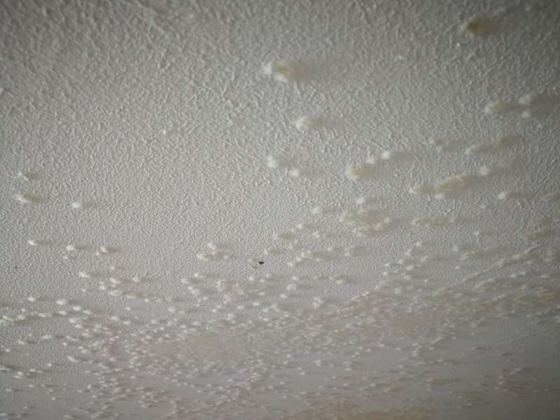 BAU.DE / BAU-Forum: 3. Bild zu Frage "Unbekannte Ausbl&uuml;hungen an Kellerdecke &nbsp;-&nbsp; Schimmel" im BAU-Forum "Modernisierung / Sanierung / Bausch&auml;den"