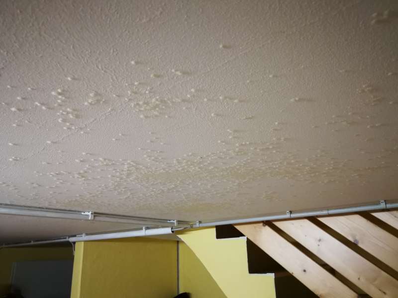 BAU.DE / BAU-Forum: 4. Bild zu Frage "Unbekannte Ausbl&uuml;hungen an Kellerdecke &nbsp;-&nbsp; Schimmel" im BAU-Forum "Modernisierung / Sanierung / Bausch&auml;den"