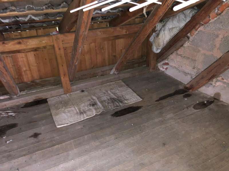 BAU.DE / BAU-Forum: 4. Bild zu Frage "Dachsanierung und Mauerwerk" im BAU-Forum "Modernisierung / Sanierung / Bausch&auml;den"