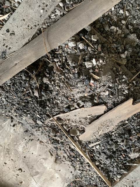 BAU.DE / BAU-Forum: 3. Bild zu Frage "Fu&szlig;bodensanierung: Identifikation Alt-D&auml;mmmaterial" im BAU-Forum "Modernisierung / Sanierung / Bausch&auml;den"