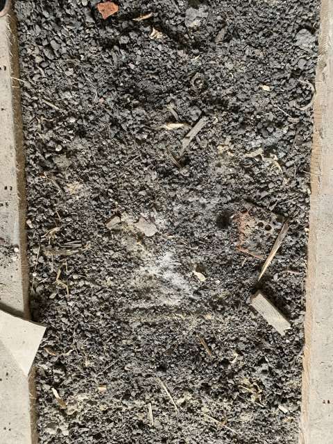 BAU.DE / BAU-Forum: 5. Bild zu Frage "Fu&szlig;bodensanierung: Identifikation Alt-D&auml;mmmaterial" im BAU-Forum "Modernisierung / Sanierung / Bausch&auml;den"