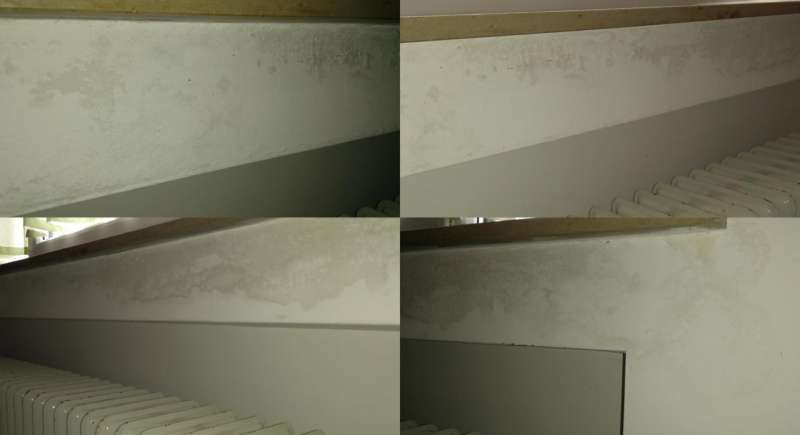 BAU.DE / BAU-Forum: 2. Bild zu Frage "Stockflecken?" im BAU-Forum "Modernisierung / Sanierung / Bausch&auml;den"