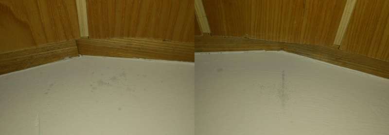 BAU.DE / BAU-Forum: 3. Bild zu Frage "Stockflecken?" im BAU-Forum "Modernisierung / Sanierung / Bausch&auml;den"