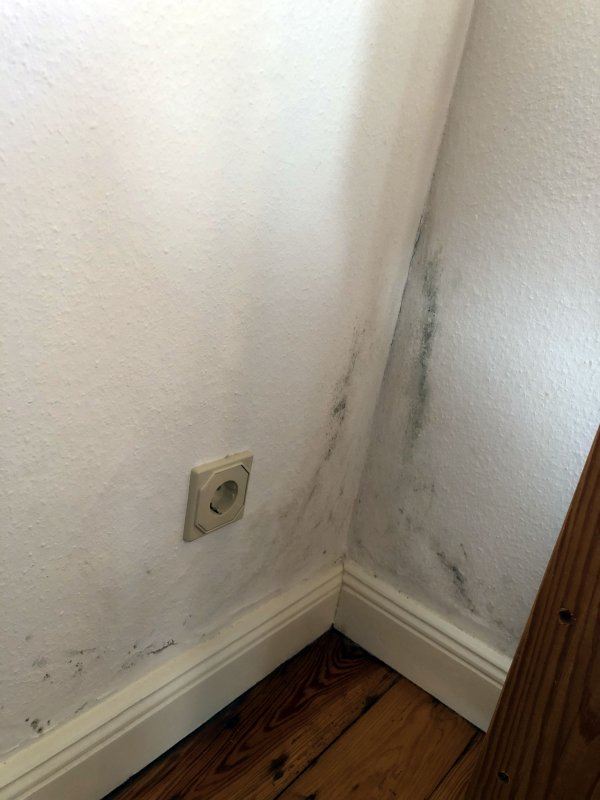 BAU.DE / BAU-Forum: 1. Bild zu Frage "Schimmel in Speisekammer" im BAU-Forum "Modernisierung / Sanierung / Bausch&auml;den"