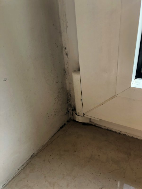 BAU.DE / BAU-Forum: 3. Bild zu Frage "Schimmel in Speisekammer" im BAU-Forum "Modernisierung / Sanierung / Bausch&auml;den"